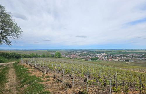 Gîte En bord de rivière - Foto 39