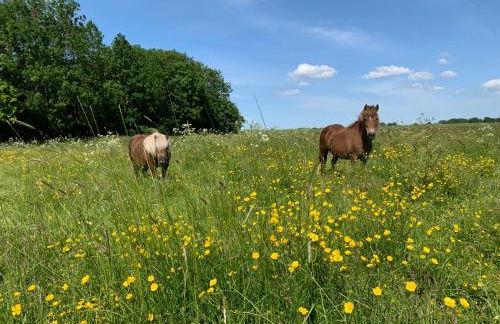 Landhaus Haack - Foto 17