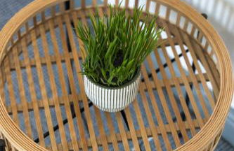 Mariah Flat - 2 Bedroom getaway in Pontypool - Photo 21