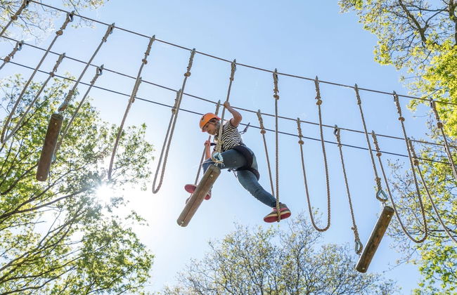 Spacious Nature Villa, Paasloo - Photo 15