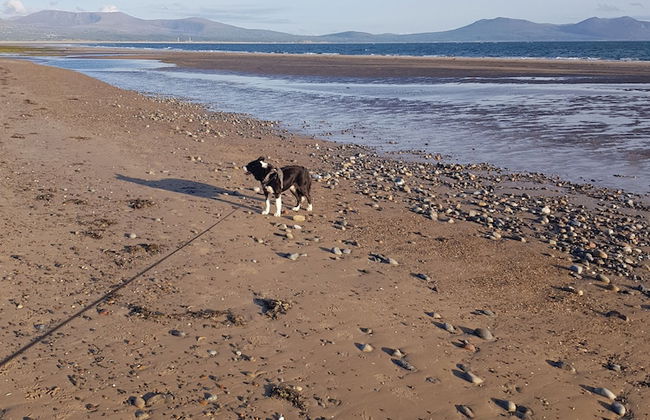 Beautiful 2-bed Chalet in Llanfairpwllgwyngyll - Photo 25