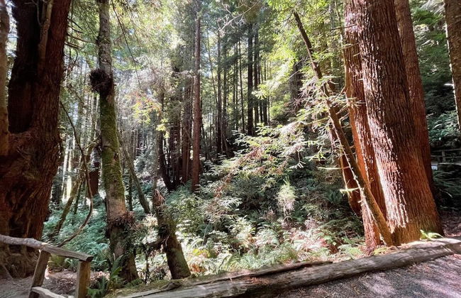 Oceanview Cabin 19 Jacuzzi Large Deck w Seating - Foto 20