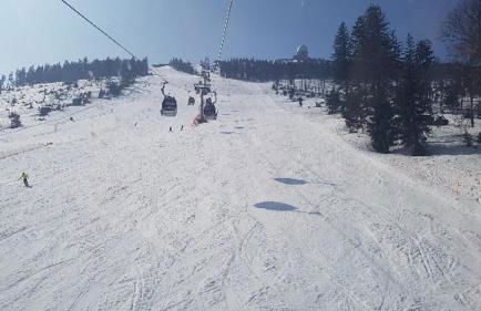 Ferienwohnung Wildgatter - Photo 41