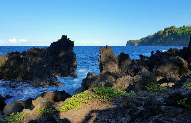 Hamakua Pukana La Hale 3 Bedroom Home by RedAwning - Foto 39