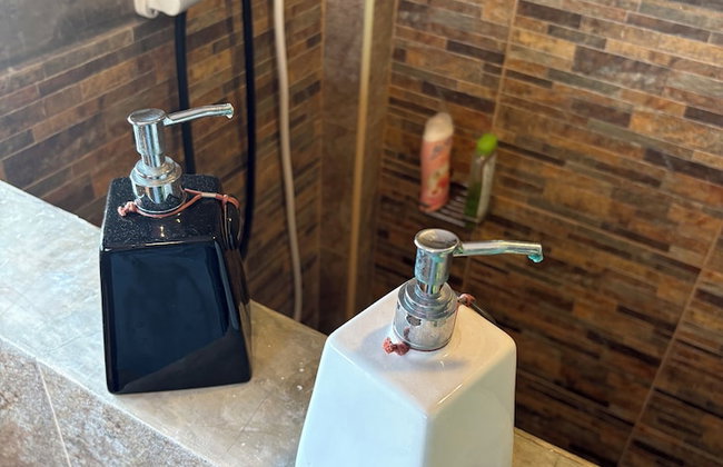 Golden Mango House - Foto 28