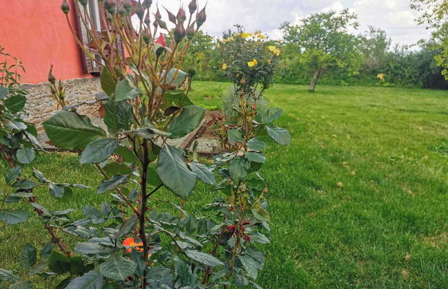 Cozy 1 Bed Cottage in Ognen, Near Karnobat, Burgas - Photo 26