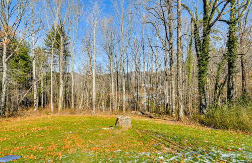 10 Mi to Asheville Mtn-View Hideaway! - Foto 23