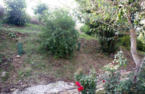 Casa Rural Vega el Dorado - Foto 17