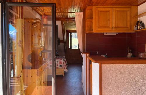 L’écureuil St Léger Les Mélèzes - Photo 6