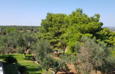 Tenuta Serra Peccatori - Foto 32