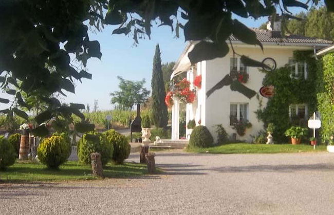 Visite du domaine viticole de Jilabá avec dégustation de vin - Photo 13