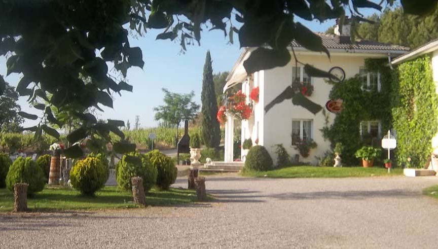 Tour in Lapuebla de Labarca - Photo 1