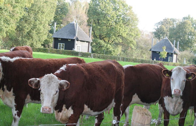 Nice House near River - Photo 10