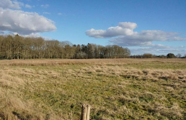 Chalet in the Woods With Pool - Photo 36