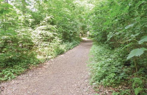 Holiday Apartment In Lubeck - Foto 17