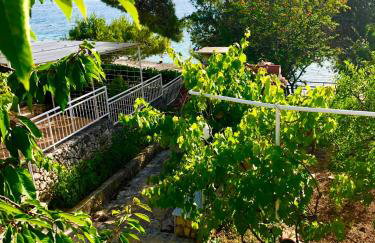 Perla & Palma - Foto 23