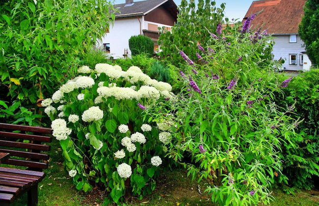 Holiday Home in Badenhausen - Foto 11