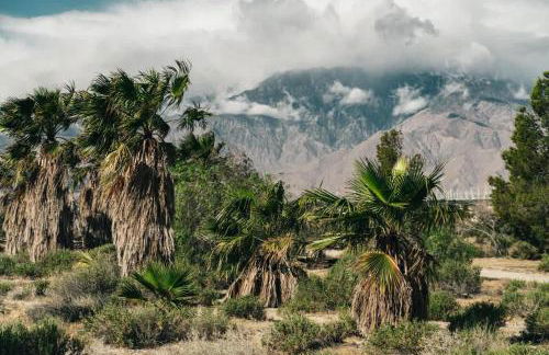 Reserve The Entire Ranch up to 28 guests - Foto 17