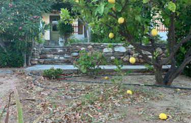 Pleiades Samos - Foto 72