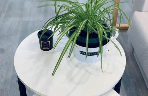 Apartamentos Buganvilla - Photo 10