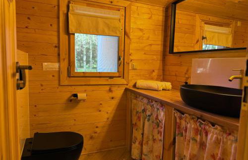 Ackermannia - Foto 60