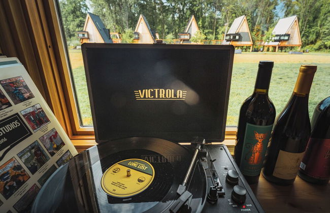 Finger Lakes Treehouse & Spa - Foto 43