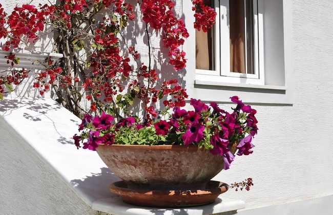 Corfu Anastasia - Foto 11