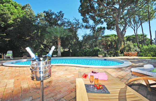 Villa AlGharif - Photo 65