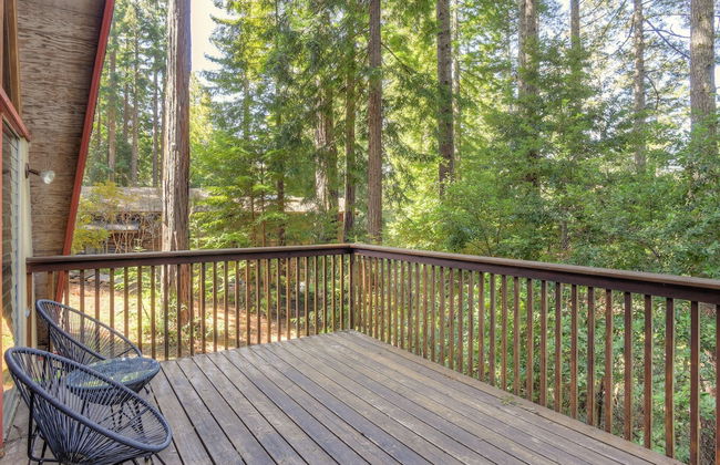 Star Nest - Photo 19