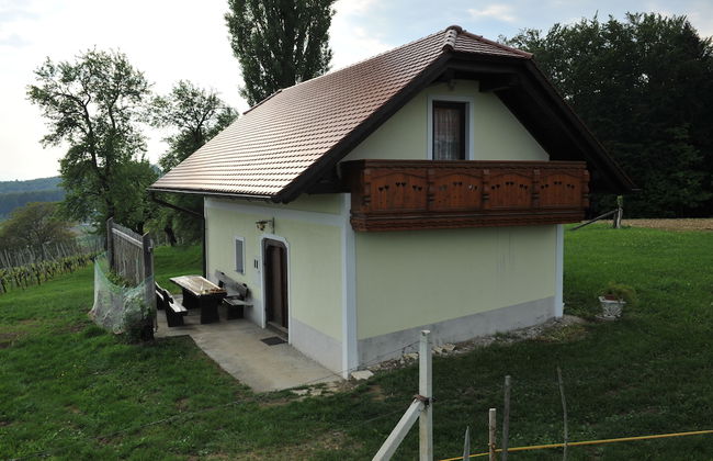 Vineyard Cottage Keglic - Foto 10