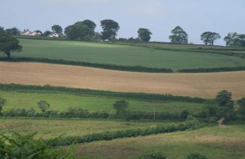 Petrock Holiday Cottages - Foto 39