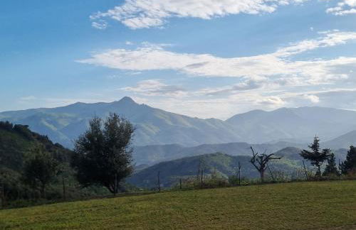 Ca la Pauleta - Foto 69