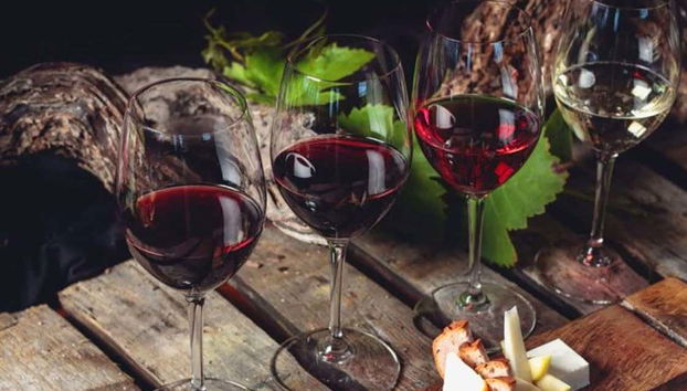 Cata de vino en las bodegas Monje