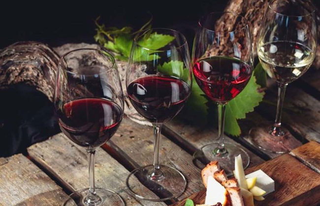 Visita a las bodegas Monje - Foto 2