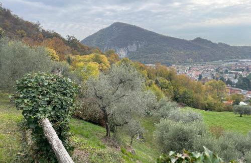 CHALET VELA Natura e Relax - Foto 72