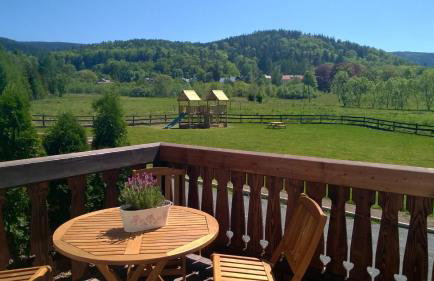 Wysokie Łąki domki w górach - Foto 39