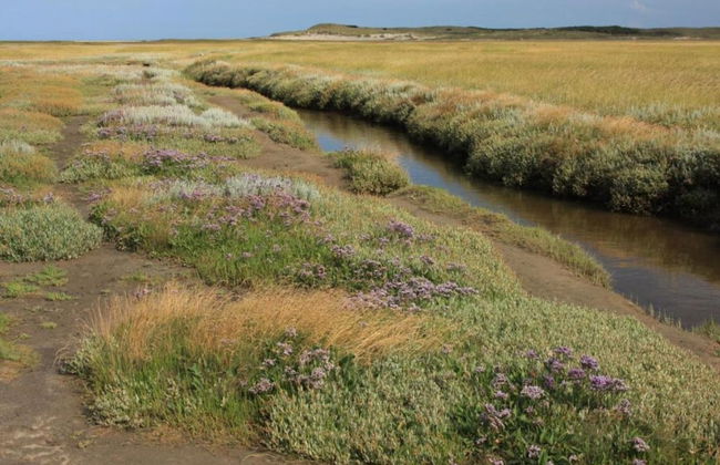Apartment in Texel Near De Koog Center - Foto 32
