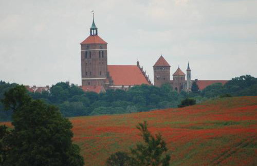 Dom Gościnny Ogłuszka - Foto 45