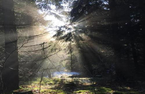 Hill-view Holiday Home in Dankerode near Lake and Hiking - Foto 66