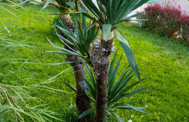 Bivalvia Apartments - Foto 62