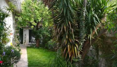 Grand studio avec piscine - Foto 4, Garden