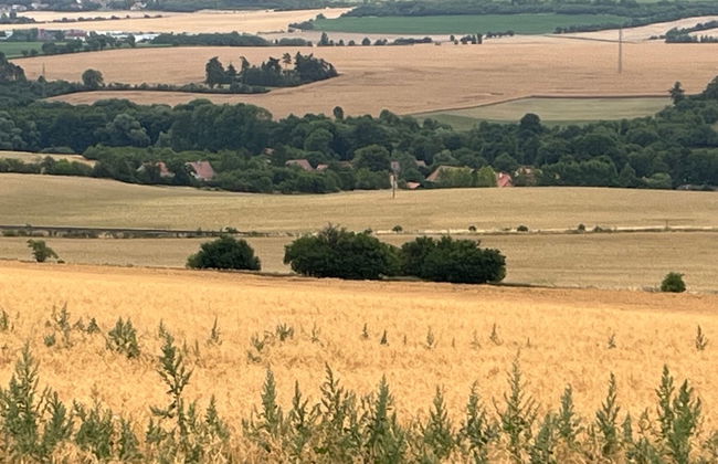 Pension Zelený grunt - Photo 65