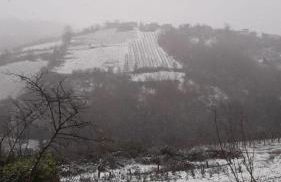 Masseria Marotta - Foto 15