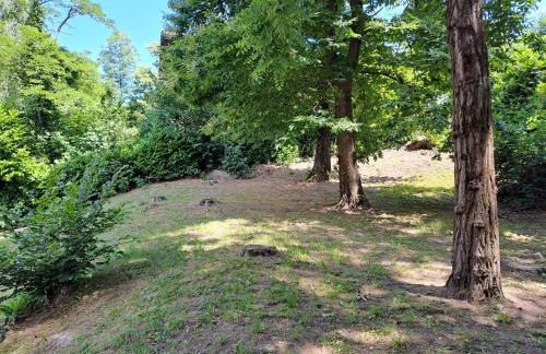 Villetta singola con giardino Cottage Ghisallo zona Bellagio - Foto 39