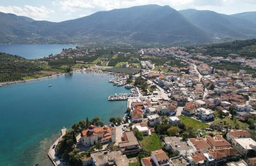 The Olive Tree - Photo 30