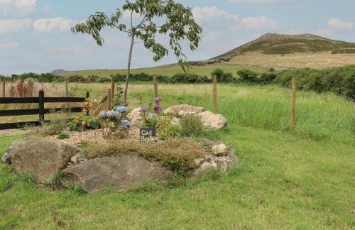 Cae Berllan - Foto 45