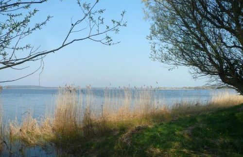 Apartment Studio am Rande eines Naturschutzgebietes by Interhome - Photo 22