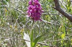 Charmant appartement avec espace détente - Photo 16