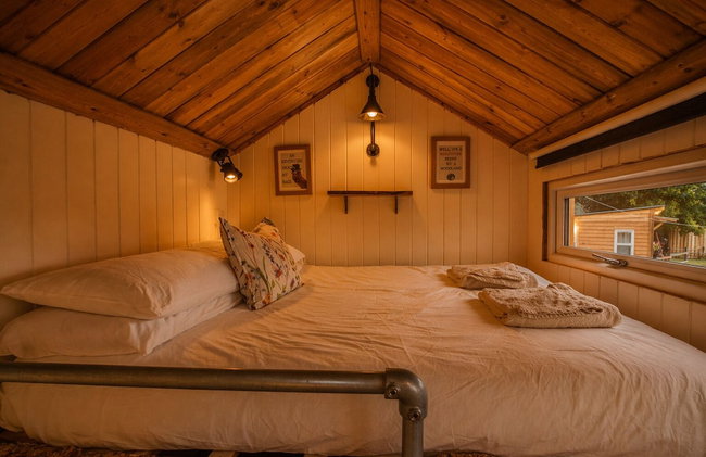 Dartmoor Reach Alpaca Farm - Foto 13