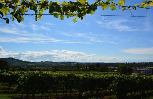 Le Stanze di Bacco - Photo 54